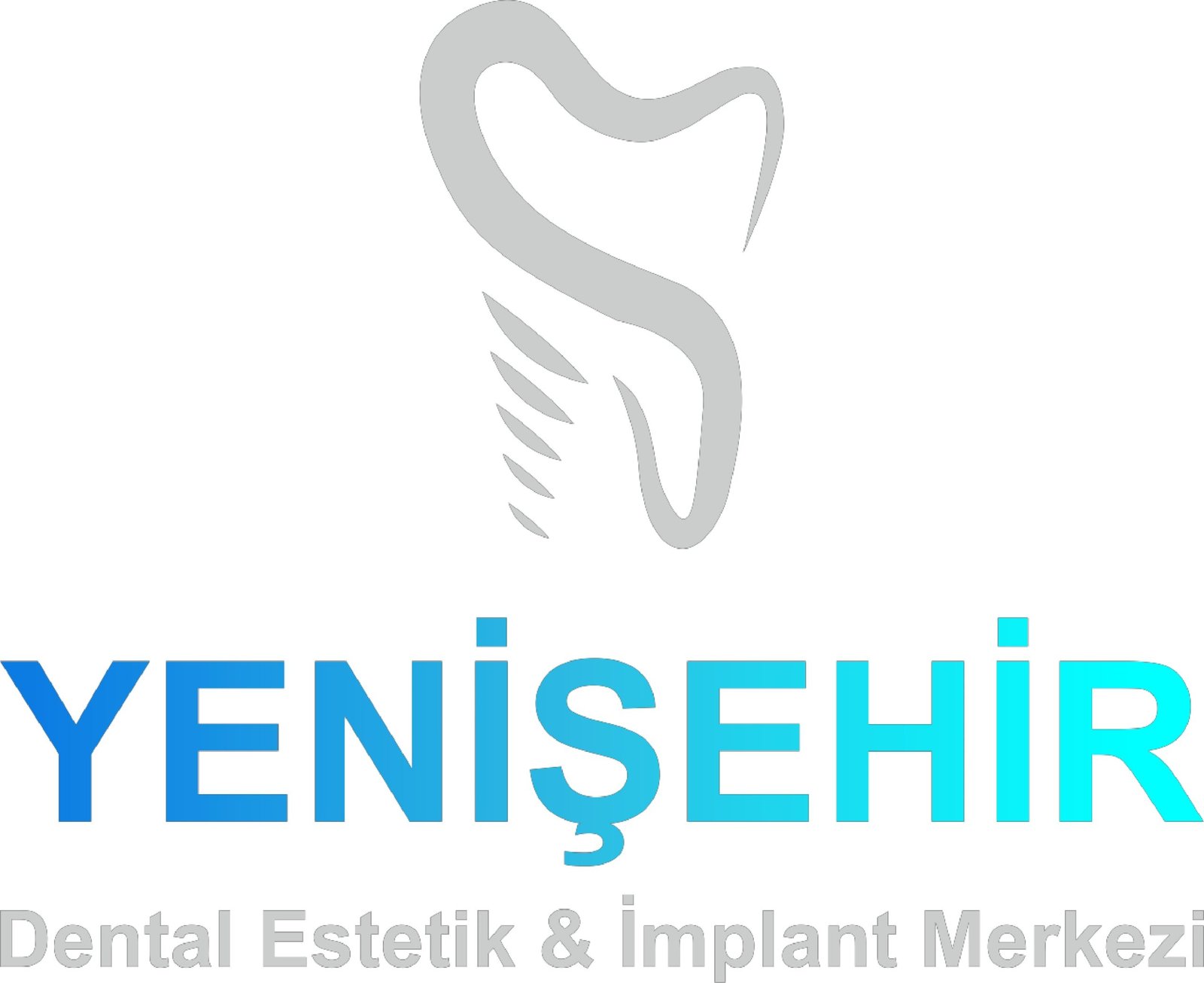 YENİŞEHİR